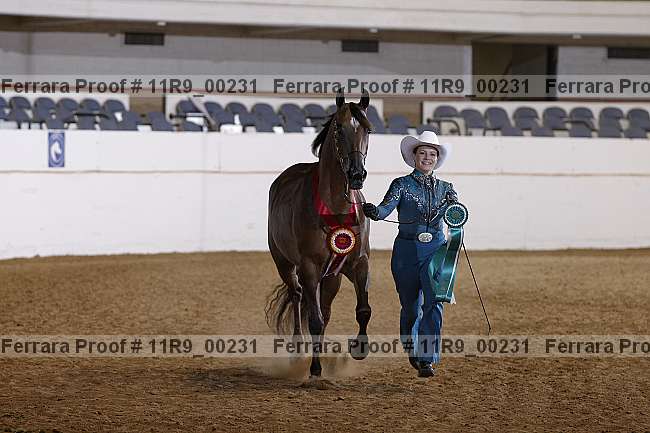Proof 11r9_00231