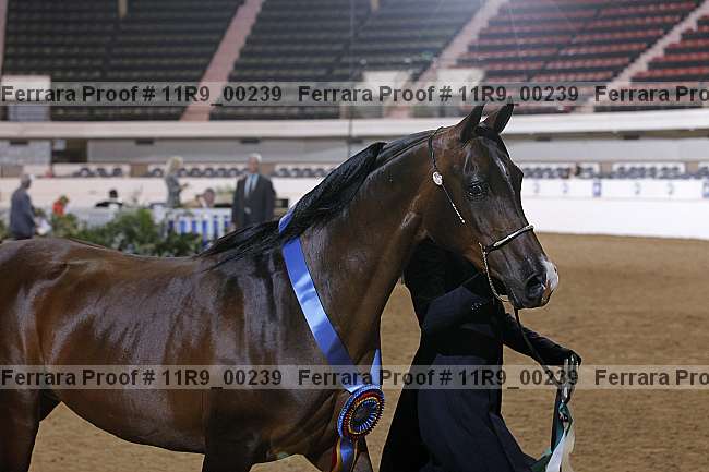 Proof 11r9_00239