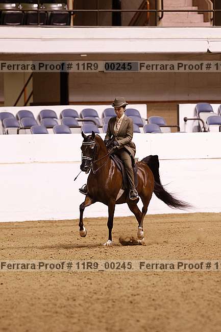 Proof 11r9_00245