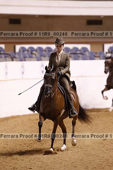 Proof 11r9_00246