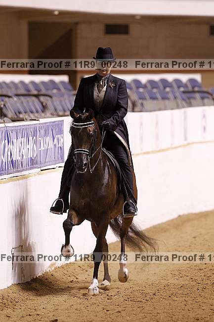 Proof 11r9_00248