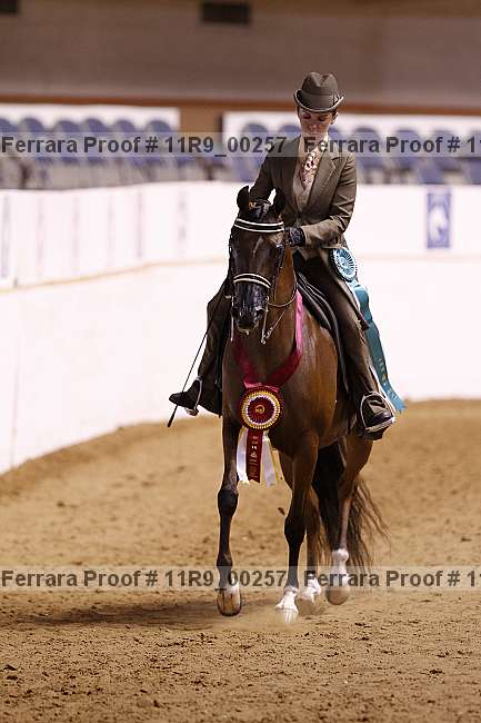 Proof 11r9_00257