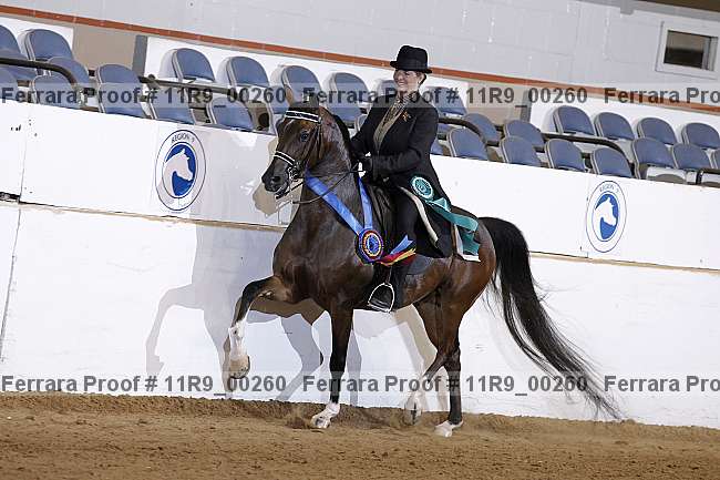 Proof 11r9_00260