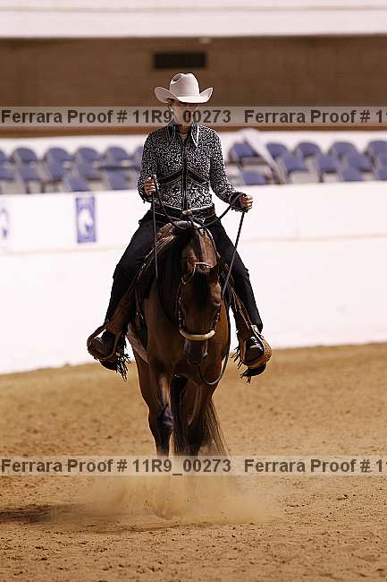 Proof 11r9_00273
