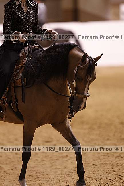 Proof 11r9_00277
