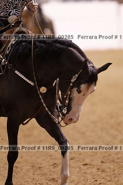 Proof 11r9_00285