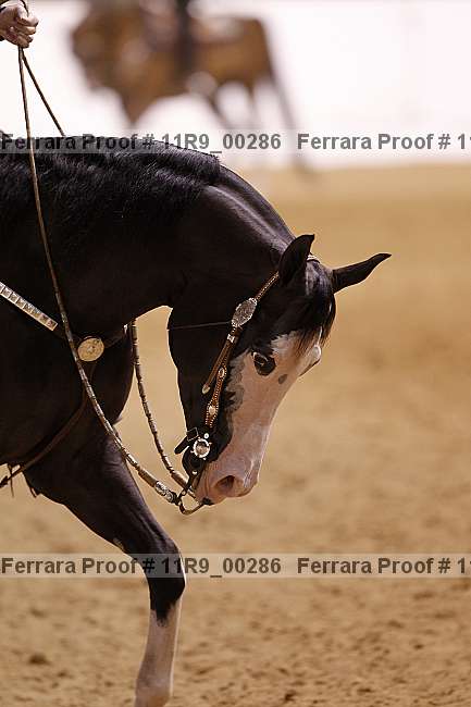 Proof 11r9_00286