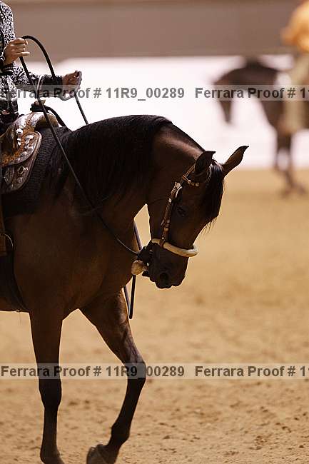 Proof 11r9_00289