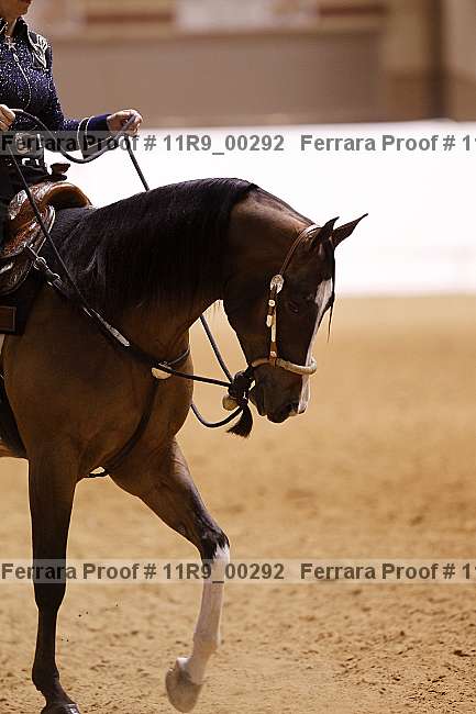 Proof 11r9_00292