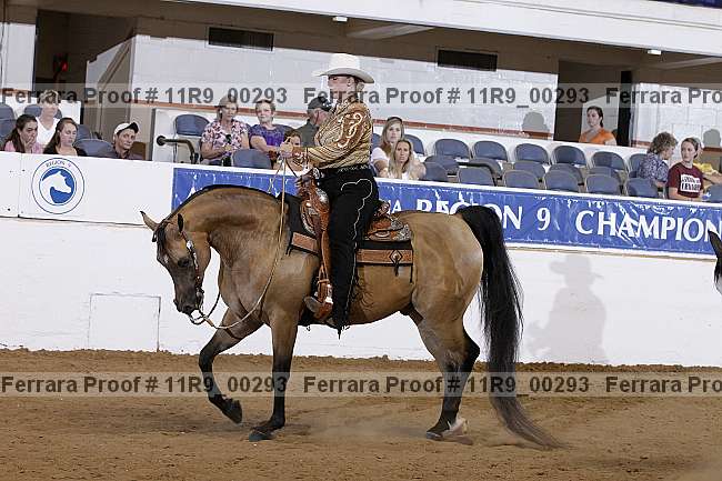 Proof 11r9_00293