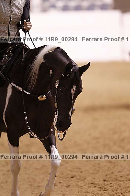 Proof 11r9_00294