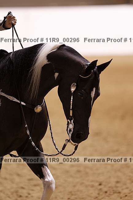 Proof 11r9_00296