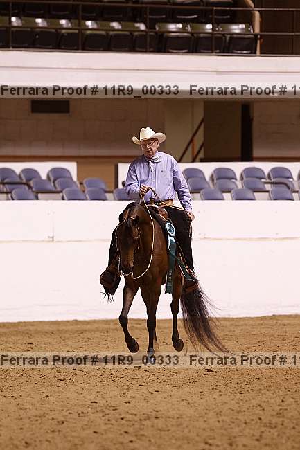 Proof 11r9_00333