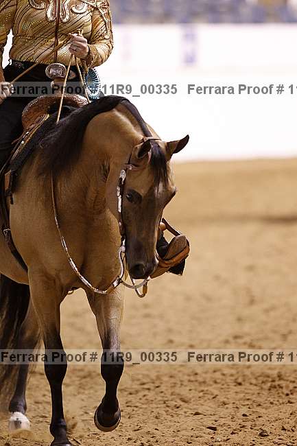 Proof 11r9_00335