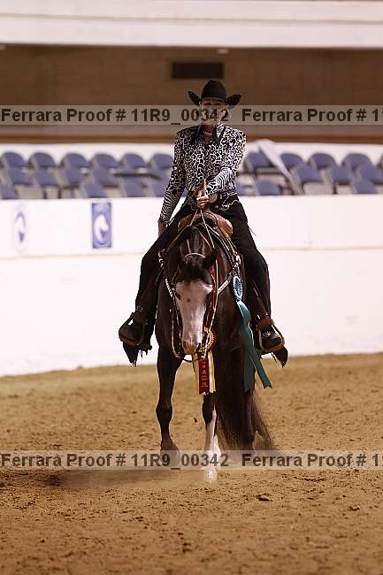 Proof 11r9_00342