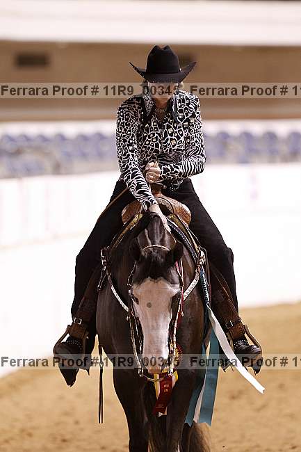Proof 11r9_00345