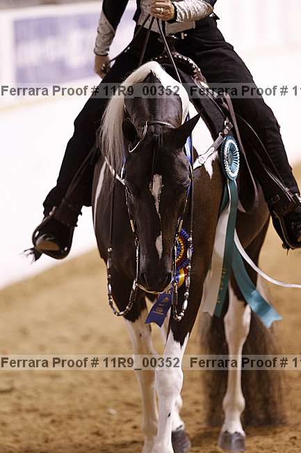 Proof 11r9_00352