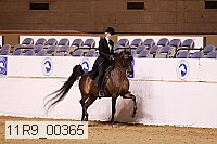 11r9_00365 proof