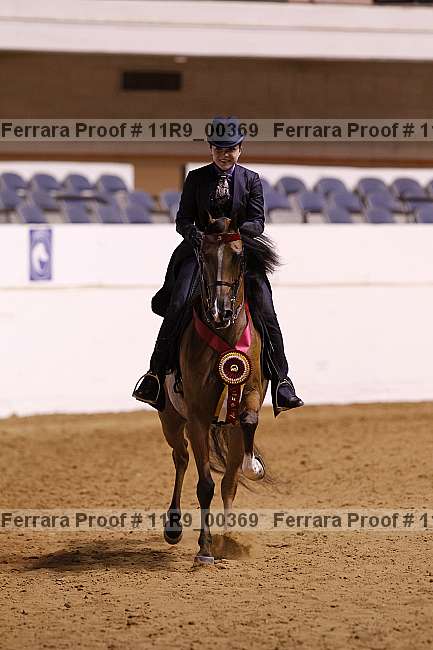 Proof 11r9_00369