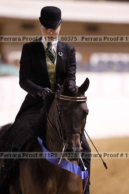 Proof 11r9_00375