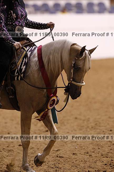 Proof 11r9_00390