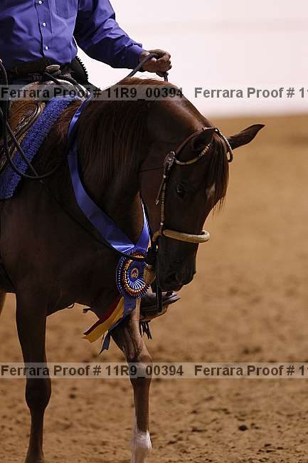 Proof 11r9_00394