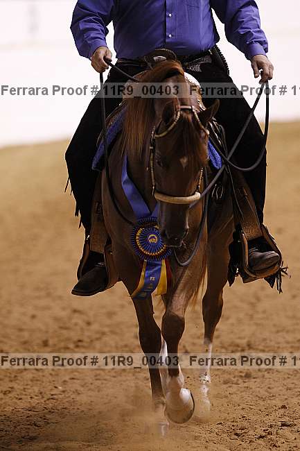 Proof 11r9_00403