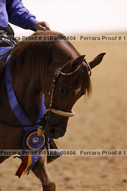 Proof 11r9_00404