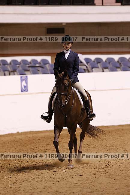 Proof 11r9_00417