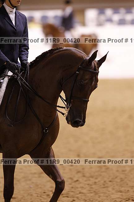 Proof 11r9_00420