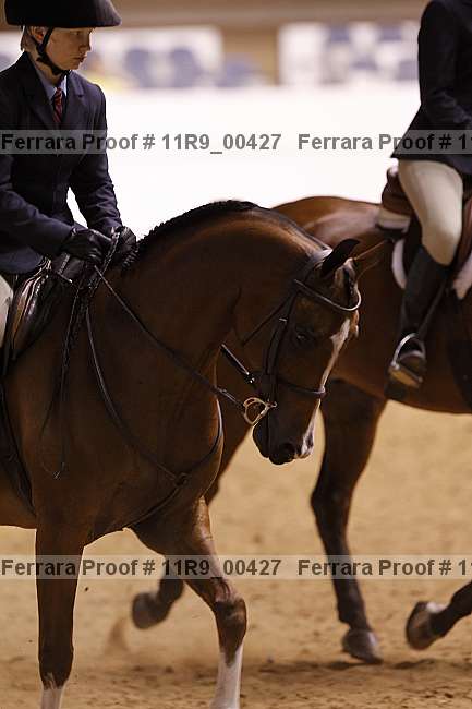 Proof 11r9_00427