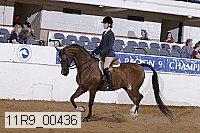 11r9_00436 proof