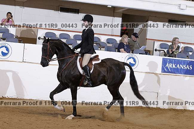 Proof 11r9_00443