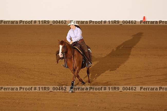 Proof 11r9_00462