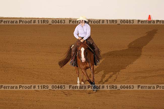 Proof 11r9_00463