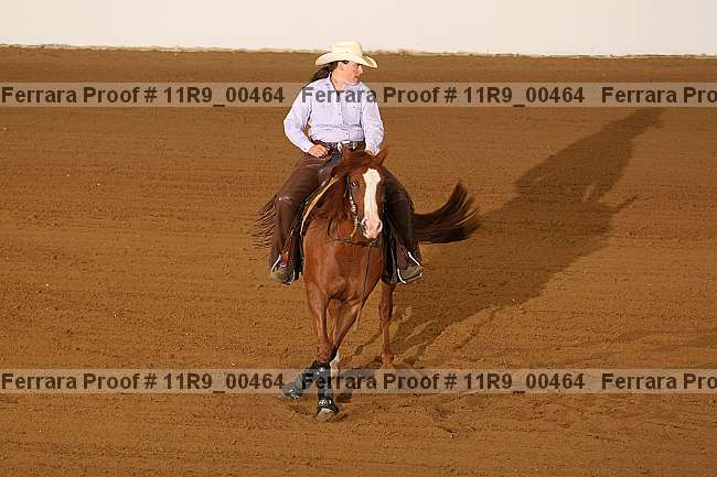 Proof 11r9_00464