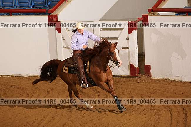 Proof 11r9_00465