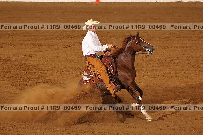 Proof 11r9_00469