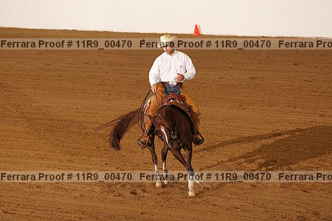 Proof 11r9_00470