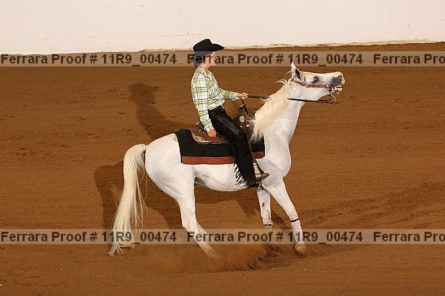 Proof 11r9_00474