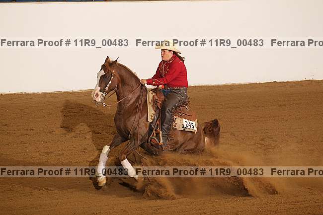 Proof 11r9_00483
