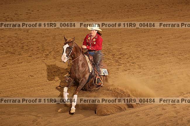 Proof 11r9_00484