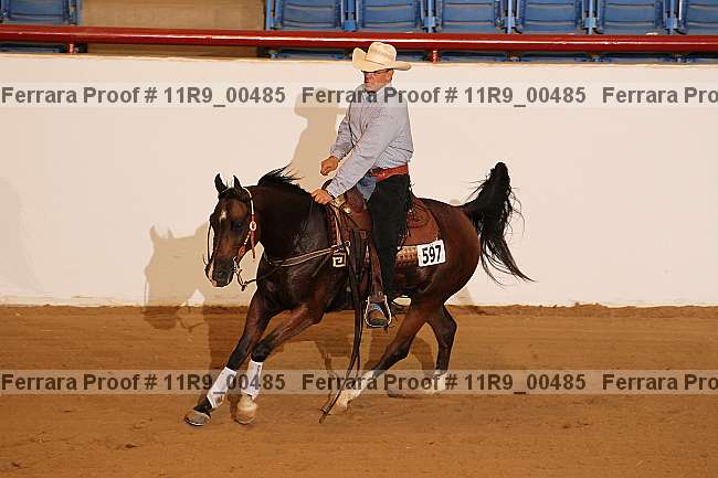 Proof 11r9_00485