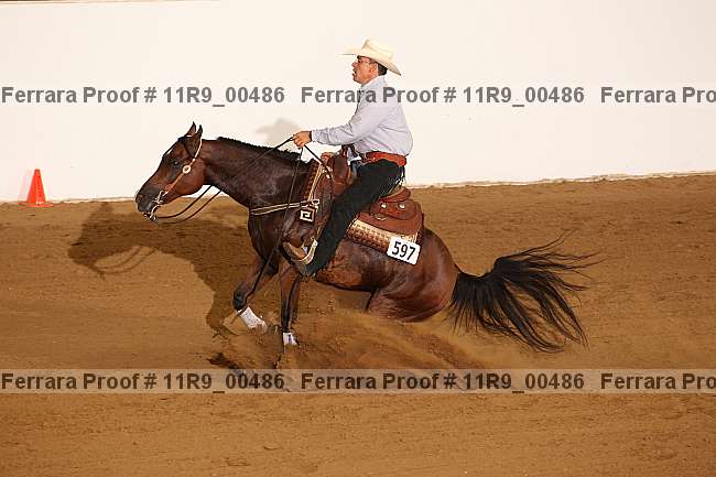 Proof 11r9_00486