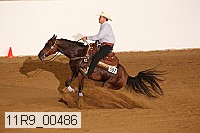 11r9_00486 proof