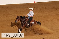 11r9_00487 proof