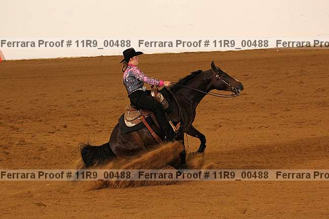 Proof 11r9_00488