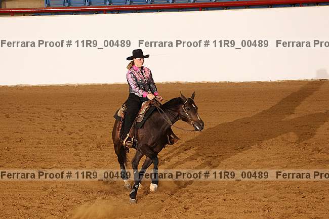 Proof 11r9_00489