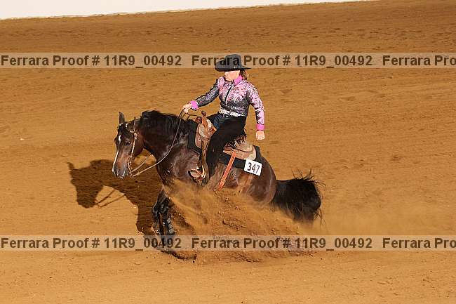 Proof 11r9_00492