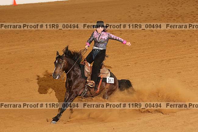 Proof 11r9_00494